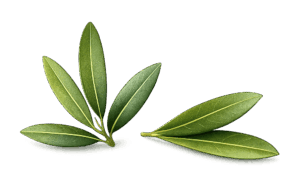 chatgpt image 13 mar 2026, 12 42 37