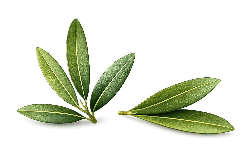 chatgpt image 13 mar 2026, 12 42 37