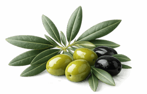 chatgpt image 15 mar 2026, 10 46 26